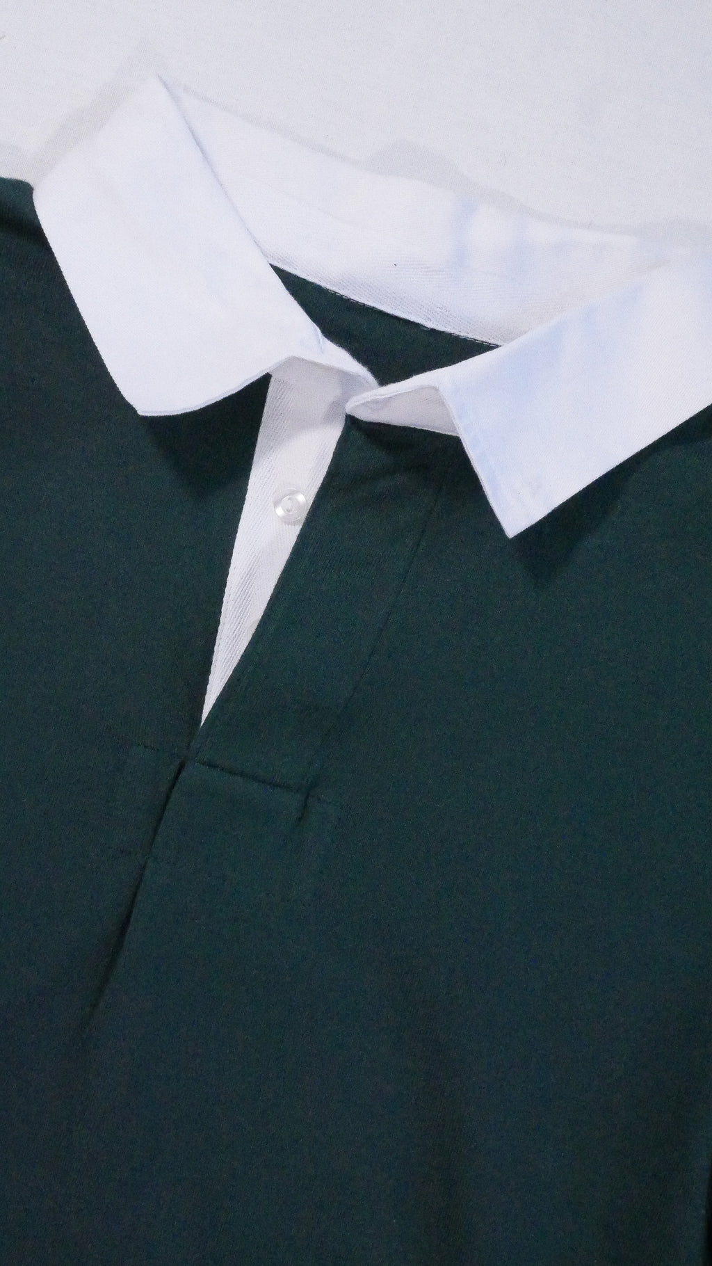Polo de rugby