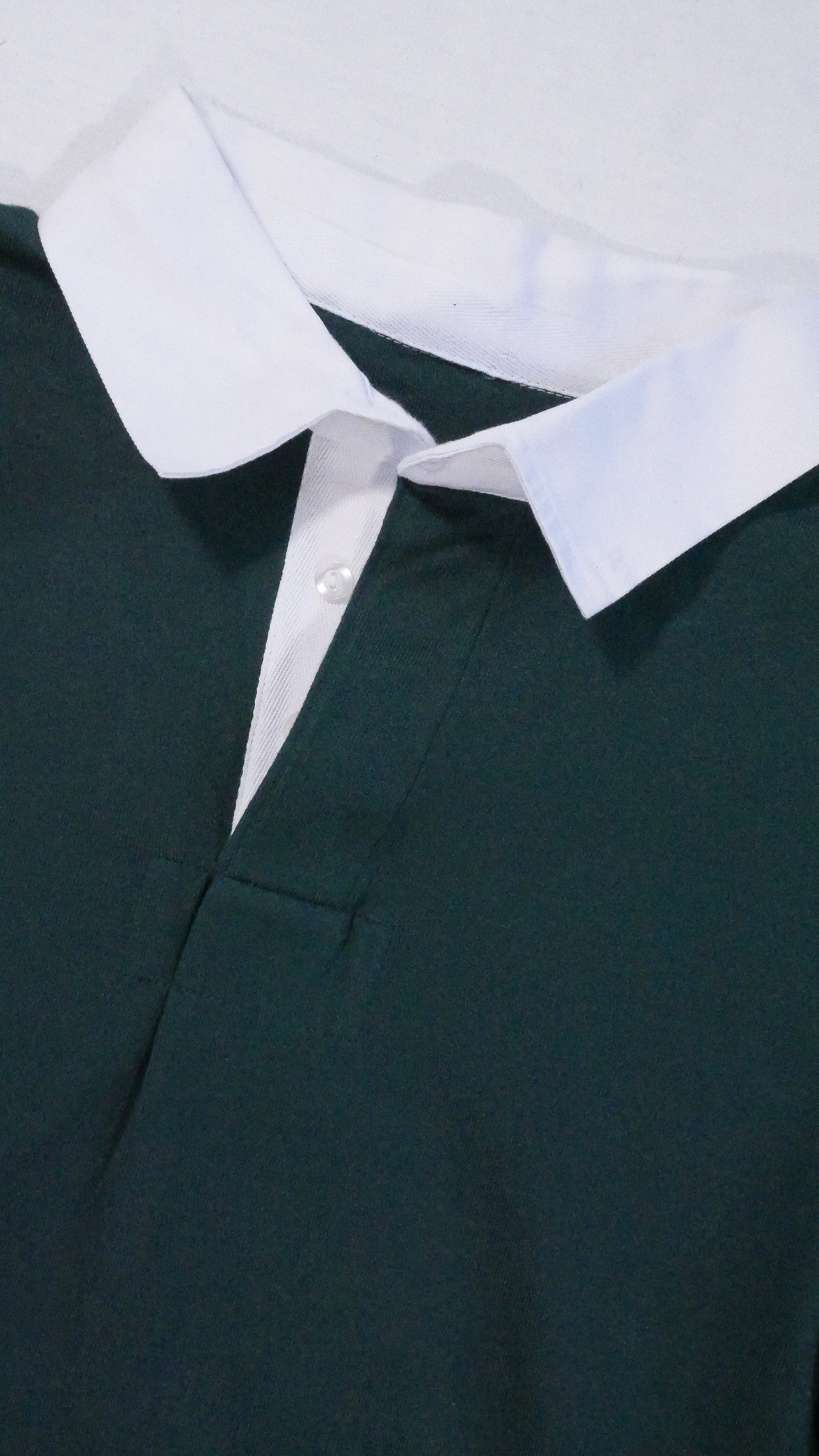 Polo de rugby